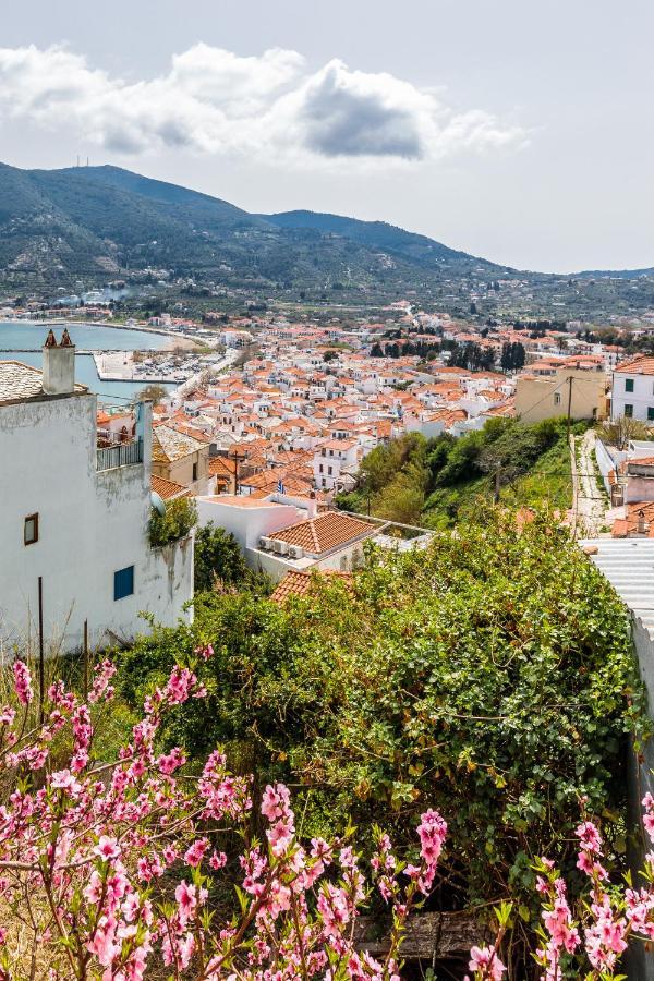 Vasia House Skopelos Dış mekan fotoğraf